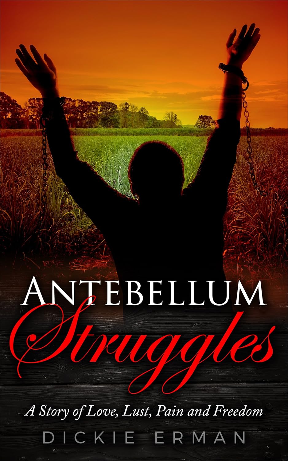 Antebellum Struggles: Slavery, Lust and Suspicion